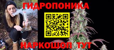 шишки Шелехов