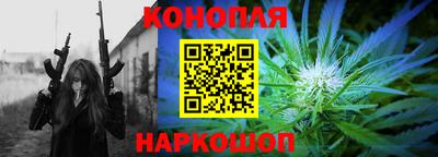 шишки Шелехов