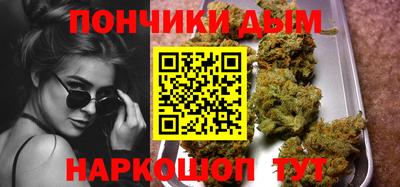 шишки Шелехов
